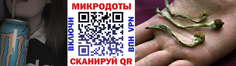 МЕГА вход  нарко площадка какой сайт  Галлюциногенные грибы Magic Shrooms  наркошоп  Каргат 