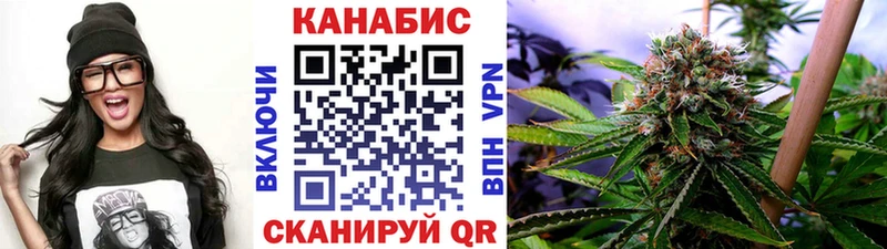 Шишки марихуана сатива закладка Каргат